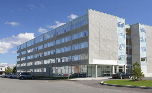 掛靠施工中，滿足特定條件即可直接向發包人主張工程款